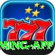 BigWinFree Deluxe Gaming App